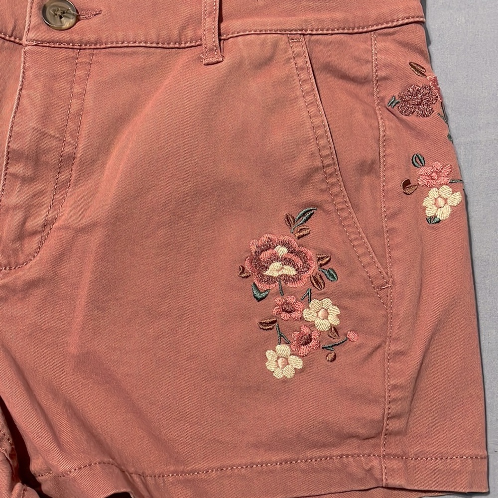 Express Shorts - Picture 3 of 9
